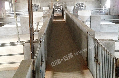 畜牧養(yǎng)殖場內部分布